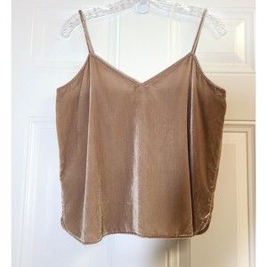 Loft Camisole Top Velvet Womens Petites S Beige Stretch Tank New